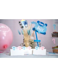 SET 6 TABLE PLACE CARDS BOY OR GIRL 8CM X 5.5CM