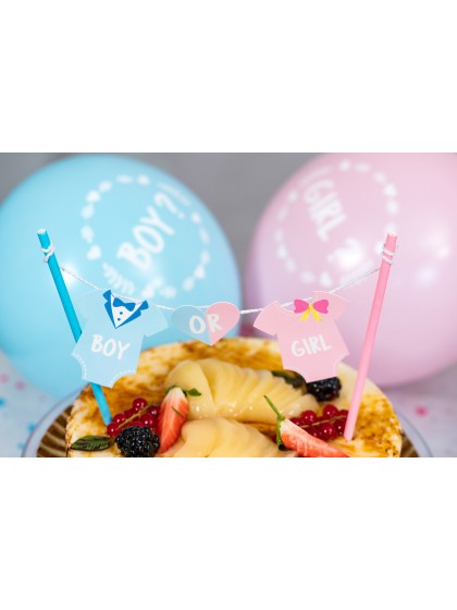 CAKE TOPPER BOY OR GIRL 27CM X 15CM