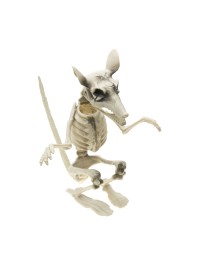 RATTE SKELETT 20CM X 26CM X 29CM