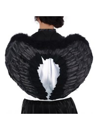 AILES D’ANGE NOIR 60CM X 45CM