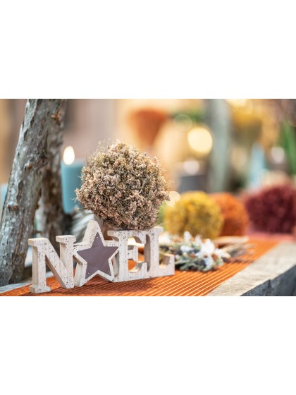 BOULE DECO AUTOMNALE NATUREL 10CM