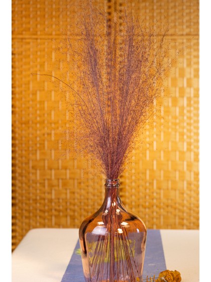 BUNCH OF 50PCS PURPLE MUEHLENBECKIA 85-90CM
