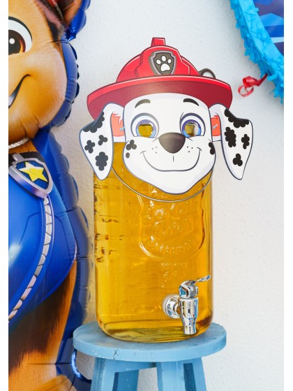 8 PAPER MASKS 4 ASS PAW PATROL © ASSORTED SIZES