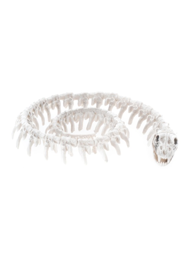 SERPENT SQUELETTE PE 20CM X 16.5CM X 3.5CM