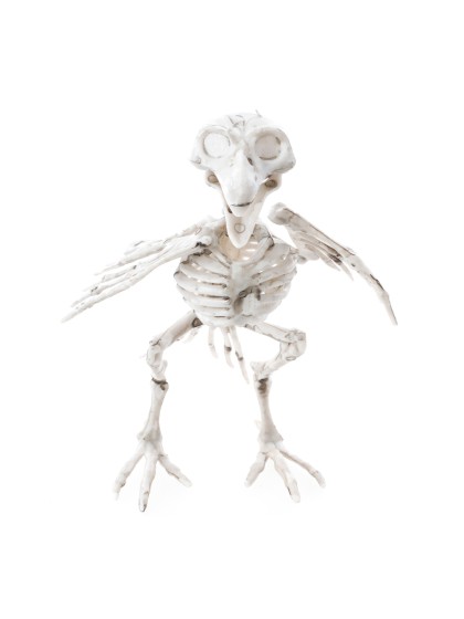 CORBEAU SQUELETTE PP 12CM X 11.5CM X 18.5CM