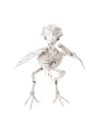 CORBEAU SQUELETTE PP 12CM X 11.5CM X 18.5CM