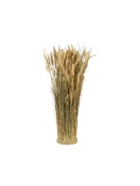 BOTTE HASENSCHWANZGRAS NATUR DIA 12CM X 55CM