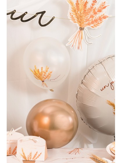 SET 6 BALLONS LATEX EIN KOSTBARER TAG DIA 27CM