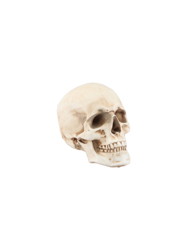 SCHÄDEL KUNSTHARZ 8.5CM X 13CM X 10CM