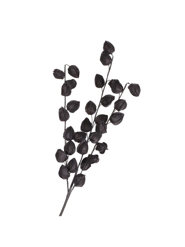 BRANCHE PHYSALIS NOIRE 82CM