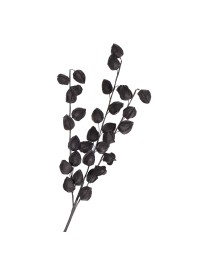 BRANCHE PHYSALIS NOIRE 82CM