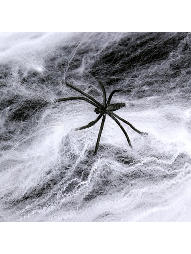 SPINNENNETZ 40G + 3 SPINNESCHWARZ 