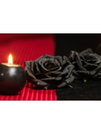 4 TETES DE ROSE NOIRES DIA 9.5CM X 5.5CM