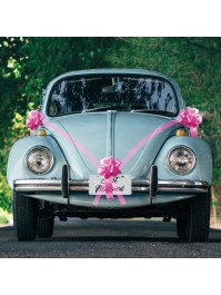 FUCHSIA CAR KIT 5 PIECES 