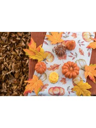 BOUGIE CITROUILLE AUTOMNE 2 ASSORTIS DIA 6.8CM X 4.6CM