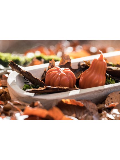 BOUGIE CITROUILLE AUTOMNE 2 ASSORTIS DIA 6.8CM X 4.6CM