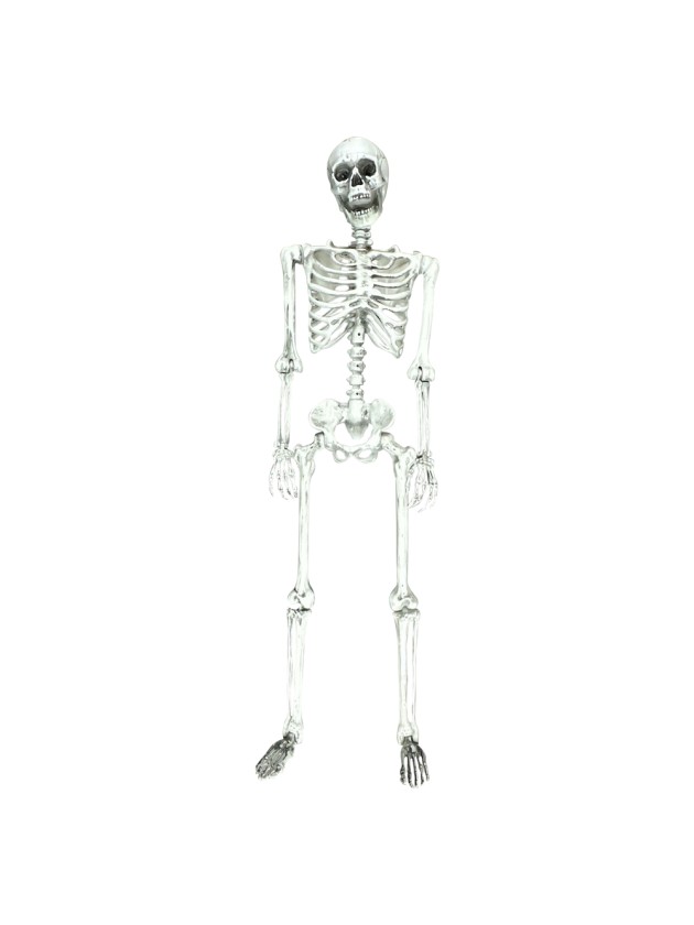 SKELETT  BEWEGLICH 155CM