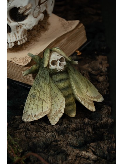 PAPILLONS TETE DE MORT - 3 ASSORTIS ENV. 14CM X 12CM X 5CM