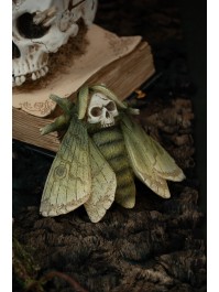PAPILLONS TETE DE MORT - 3 ASSORTIS ENV. 14CM X 12CM X 5CM