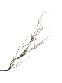 BRANCHE AVEC MOUSSE 112CM