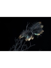 FOREST BUTTERFLY TO CLIP 15CM X 1.5CM X 10CM