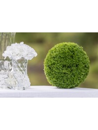 ARTIFICIAL CYPRESS BALL TO ASSEMBLE DIA 27CM