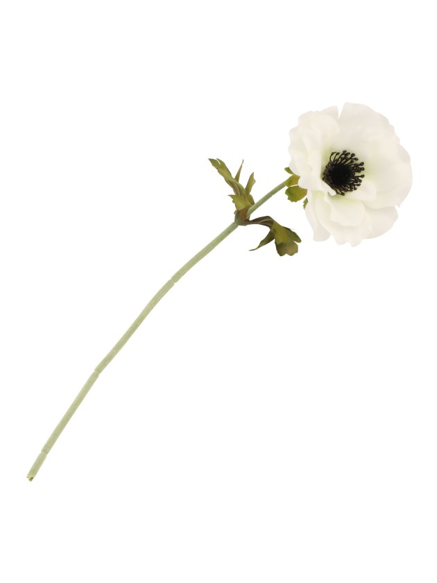 TIGE ANEMONE BLANCHE DIA 10CM X 38CM