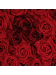RED ROSES HEART BOARD 70CM X 63CM