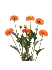 BUNCH 3 ORANGE TAGETE STEMS 12CM X 8CM X 59CM