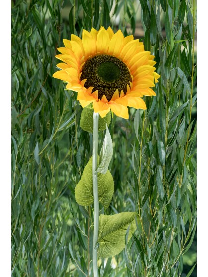 SONNENBLUME XL AUF STIEL 30CM X 25CM X 130CM