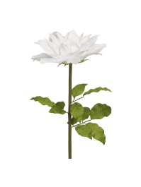 DAHLIE RIESEN WEISS AUF STIEL DIA 35CM X 110CM