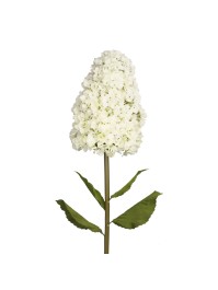 HORTENSIA GEANTE BLANCHE SUR TIGE DIA 35CM X 150CM