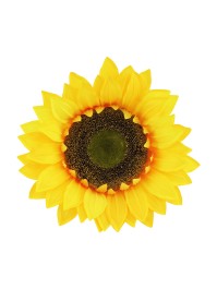 SUNFLOWER HEAD 30CM X 25CM X 15CM