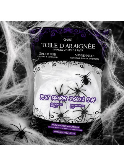 TOILE D’ARAIGNEE BLANCHE + 4 ARAIGNEES 30GR