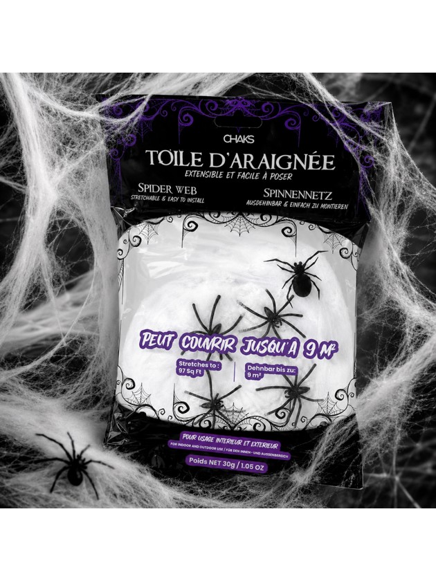 TOILE D’ARAIGNEE BLANCHE + 4 ARAIGNEES 30GR