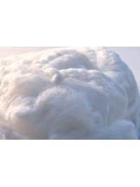 TOILE D’ARAIGNEE BLANCHE 500GR