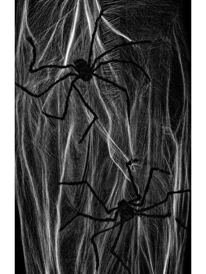 WHITE SPIDER WEB 60GR
