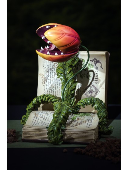 LIVRE RESINE PLANTE CARNIVORE 29CM X 25CM X 29CM