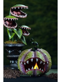 CITROUILLE CARNIVORE RESINE AVEC LED 28CM X 28.5CM X 28.5CM