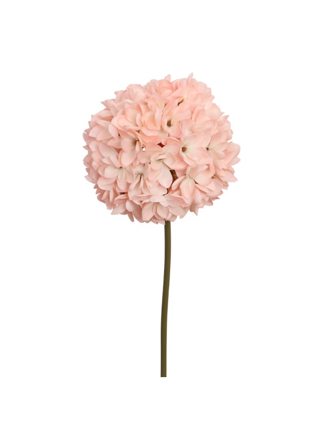 MAGNOLIA GEANT ROSE SUR TIGE DIA 35CM X 135CM