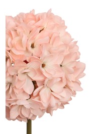 MAGNOLIA GEANT ROSE SUR TIGE DIA 35CM X 135CM