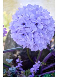 MAGNOLIE RIESEN LILAS AUF STIEL DIA 35CM X 135CM
