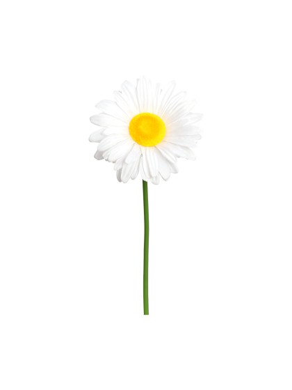 MARGUERITE GEANTE SUR TIGE DIA 30CM X 90CM
