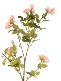STEM WITH PINK BABY ROSES 17CM X 7CM X 65CM