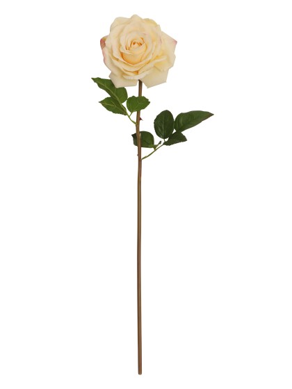 TIGE ROSE IVOIRE REAL TOUCH DIA 14CM X 70CM