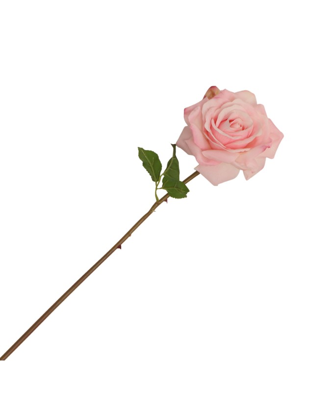 REAL TOUCH ROSA BEINROSENSTIEL DIA 14CM X 70CM
