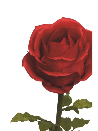 GIANT RED ROSE ON STEM DIA 40CM X 130CM