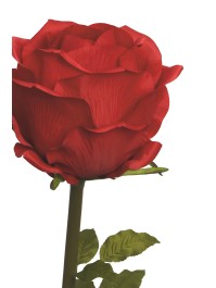 GIANT RED ROSE ON STEM DIA 40CM X 130CM