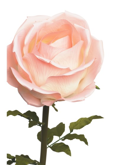 ROSE GEANTE SUR TIGE ROSE DIA 40CM X 130CM