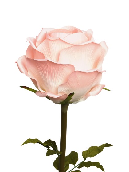 GIANT PINK ROSE ON STEM DIA 40CM X 130CM